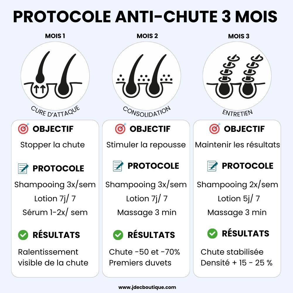 Infographie protocole anti-chute 3 mois : Phase Attaque, Consolidation et Entretien avec objectifs et résultats mesurables